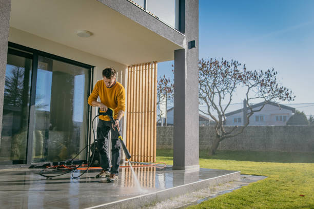Best Fence Cleaning and Maintenance in Cambridge, IL